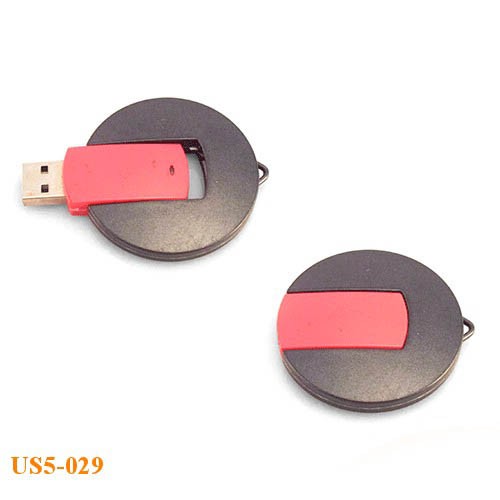 USB nhựa 29